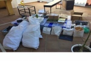 La Guardia Civil desarticula un punto de venta de droga de cannabis sativa"