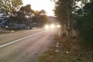 Algesa limpia y desbroza el acceso al Cortijo Real