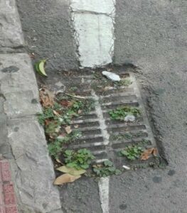 Podemos solicita la limpieza de los husillos de la ciudad ante la temporada de lluvias