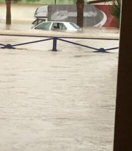 EQUO pide que la lucha contra el cambio climático esté presente en todas las partidas presupuestarias