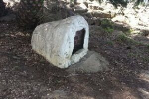 Las fuentes y nacimientos de agua del Acebuchal han sido inscritas al proyecto Conoce tus fuentes"