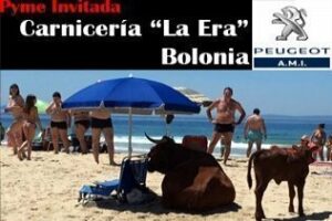 Pyme Invitada: Juan Antonio Jiménez Perea Carnicería La Era" Bolonia