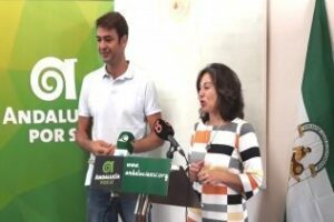 Llevamos al Pleno el reconocimiento del 4 de Diciembre por el autogobierno andaluz en igualdad": Peinado