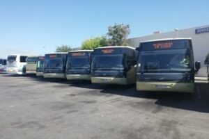 Las tarjetas del transporte urbano podrán ser expedidas y renovadas en la Oficina de Atención al Ciudadano