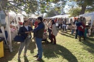 Mercadillo solidario organizado por Colegio Montecalpe