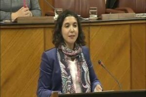 El PSOE destaca la modificación de la Ley de cooperativas para impulsar 300 proyectos empresariales