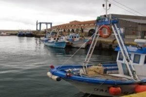 Cerca de 1 millón de euros serán destinados para rehabilitar la lonja pesquera