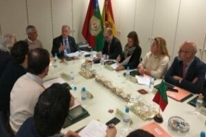 Los Graduados Sociales reclaman la jubilación contributiva con el trabajo de los autónomos