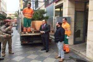 Continúa la instalación de la nueva ornamentación floral en la calle Alfonso XI