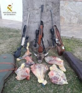 La Guardia Civil interviene un gamo despiezado y tres armas largas de caza