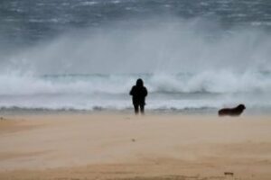 El temporal se deja sentir en el campo de Gibraltar