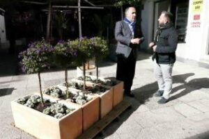 Finaliza la instalación de la nueva ornamentación floral de la calle Coronel Ceballos