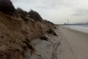 "El Puerto hipoteca la supervivencia natural de la Bahía": Verdemar