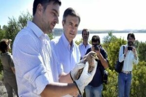 Ángel Acuña: Los informes al Proyecto Eolo son favorables pero otros prefieren el caos y la anarquía"