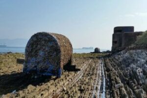 El PSOE reclama la retirada de restos del temporal de las playas algecireñas