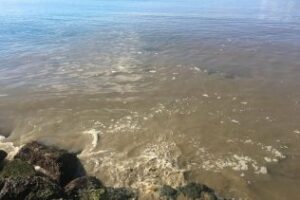 Verdemar Ecologistas en Acción denuncia un vertido de fecales en la Playa de Poniente