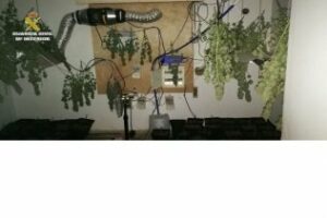 La Guardia Civil desarticula tres puntos de venta de drogas en la localidad de Taraguillas-San Roque