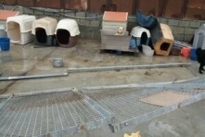 La Perrera de Los Barrios resultó gravemente afectada por el temporal