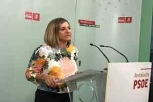 El PSOE pide al Gobierno que cumpla con el Plan del litoral pues las playas sufren "total abandono"