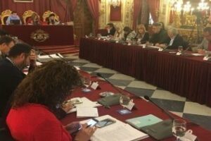 El PP defiende en Diputación que el Conservatorio Paco de Lucía" de Algeciras imparta guitarra flamenca