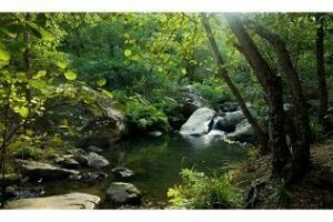 Conoce la naturaleza que te rodea. Disfruta del sendero Río de la Miel