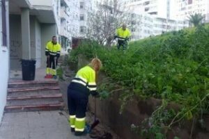 El Ayuntamiento acomete labores de limpieza y desbroce en El Saladillo