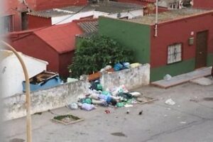 Verdemar alerta del problema medioambiental que supone la basura en la calle