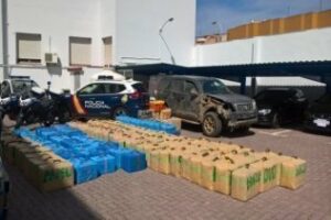 Incautados hasta el momento 10 toneladas de droga en Algeciras y La Línea (Video)
