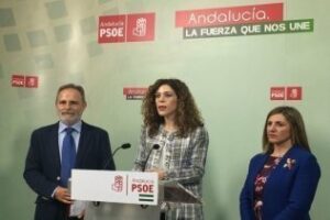 PSOE de Cádiz muestra su preocupación ante unos PGE solo traen "decepción y engaño"
