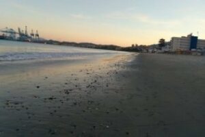 Disfruta toda la belleza del Campo de Gibraltar en una imagen