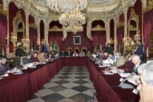 La Diputación provincial de Cádiz aprueba defender los intereses de la comarca tras el Brexit