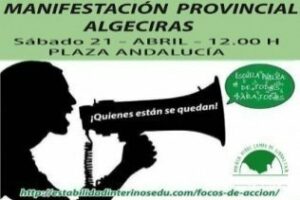 Marea Verde convoca una manifestación por la estabilidad del profesorado interino