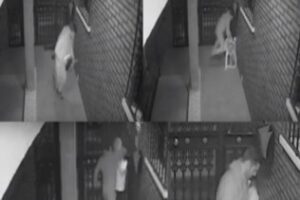 Ingresa en prisión en Málaga el presunto autor del brutal atraco a una mujer en la urbanización Carteya