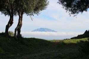 Nuestro concurso fotográfico ya tiene a su tercer ganador