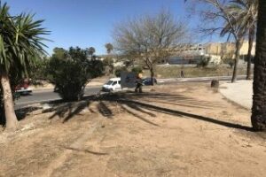 El Ayuntamiento ajardinará la ladera entre la rotonda inferior del Acceso Sur y El Saladillo