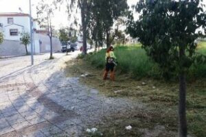 El Ayuntamiento lleva a cabo trabajos de desbroce y limpieza en la barriada de El Cobre