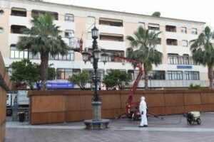 Fumigan las palmeras de la Plaza Alta para protegerlas contra el picudo rojo y otras plagas