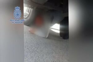 Localizan a un joven argelino de 21 años en los bajos de autobús en el puerto de Tarifa