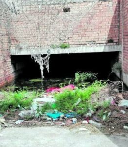 Podemos pide una solución al abandono de la calle Hernando Soto