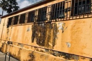 El Psoe de Algeciras exige la reparación inmediata del colegio Nuestra Señora de Europa