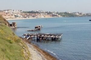 La APBA indica que el juzgado señala al Ayuntamiento para que sea quien retire las bateas