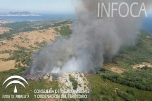 Declarado un incendio en el paraje de El Bujeo que obliga a desplegar a 40 bomberos forestales