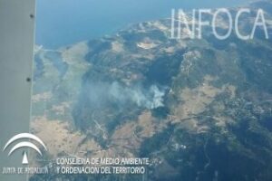 Dan por estabilizado el incendio forestal que se declaró ayer en el paraje natural de El Bujeo