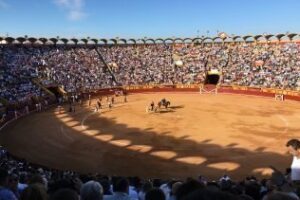 Brotes verdes en el coso de Las Palomas. Por Aficionados Prácticos Taurinos Algeciras