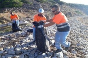 La Delegación de Playas procede a la limpieza de la playa de Calarena, recogida en el pliego