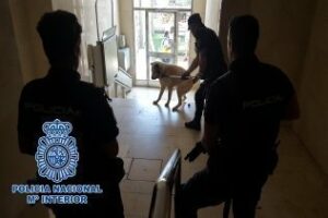 Inmovilizan a un perro peligroso en Virgen del Carmen después de agredir a su propietario