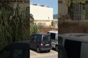(VÍDEO) Graban a un grupo de inmigrantes magrebíes huyendo con cuerdas del polideportivo de Tarifa