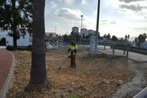 El Ayuntamiento acomete la limpieza y el desbroce de diferentes zonas de Los Pastores