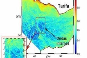 Satélites de la NASA detectan zonas de alta concentración de clorofila en el Estrecho de Gibraltar