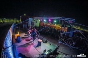 Pájaro voló en Alcultura